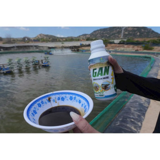 GAN 247 (650ml)– CHUYÊN XỬ LÝ TEO GAN, TRỐNG RUỘT