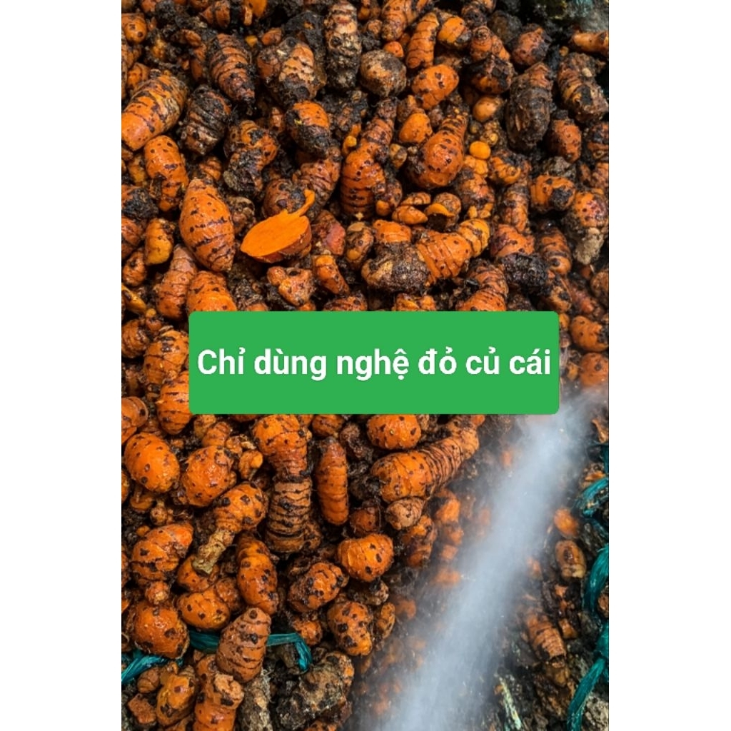 Cốt Nghệ Cái Mật Ong lên men (NGHỆ ĐỎ CỦ CÁI) DS THẢO