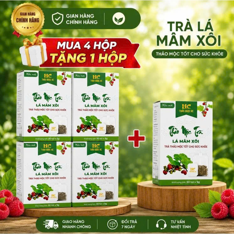 Trà Lá Mâm Xôi Chính Hãng Túi Lọc 30 Gói – Trà Thảo Mộc Tự Nhiên, Dễ Uống Mỗi Ngày