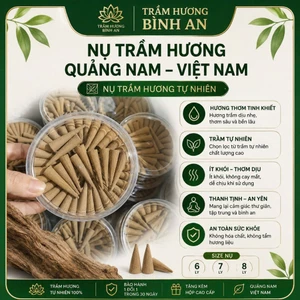 Nụ trầm hương tự nhiên Hội An Quảng Nam Việt Nam-Trầm hương Bình An