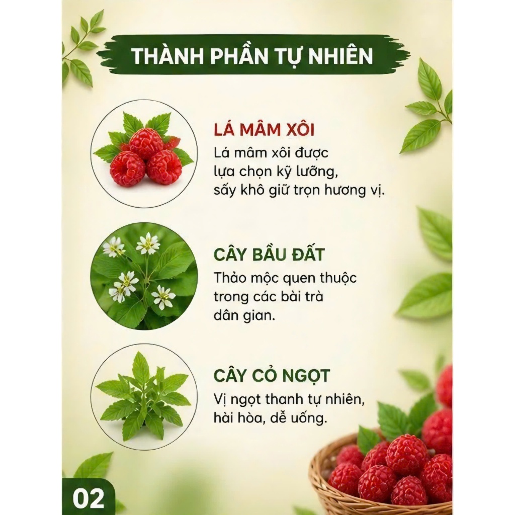 Trà Lá Mâm Xôi Khô Tự Nhiên – Trà Sạch, Đóng Gói Kín, An Toàn Sử Dụng