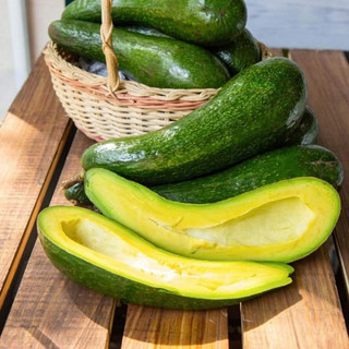 Cây Giống Bơ 034 | Kim Bio Farm | Cao 60cm-1m, Chuẩn Giống, Dễ Trồng, Nhanh Ra Trái