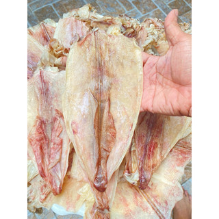 Mực khô Sông Đốc size vip 11-12 con /kg