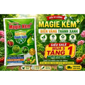 Magie kẽm gói