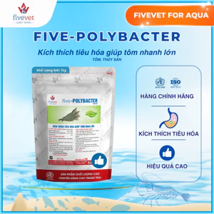 Men Vi Sinh Bacillus Cho Tôm Cá Hỗ Trợ Tiêu Hóa Hấp Thu FIVEVET – Five-Polybacter