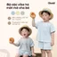 Bộ Cộc In Hình Cho Bé Obebi Đáng Yêu CHo Bé Trai Bé Gái Từ 6 - 22kg BC378