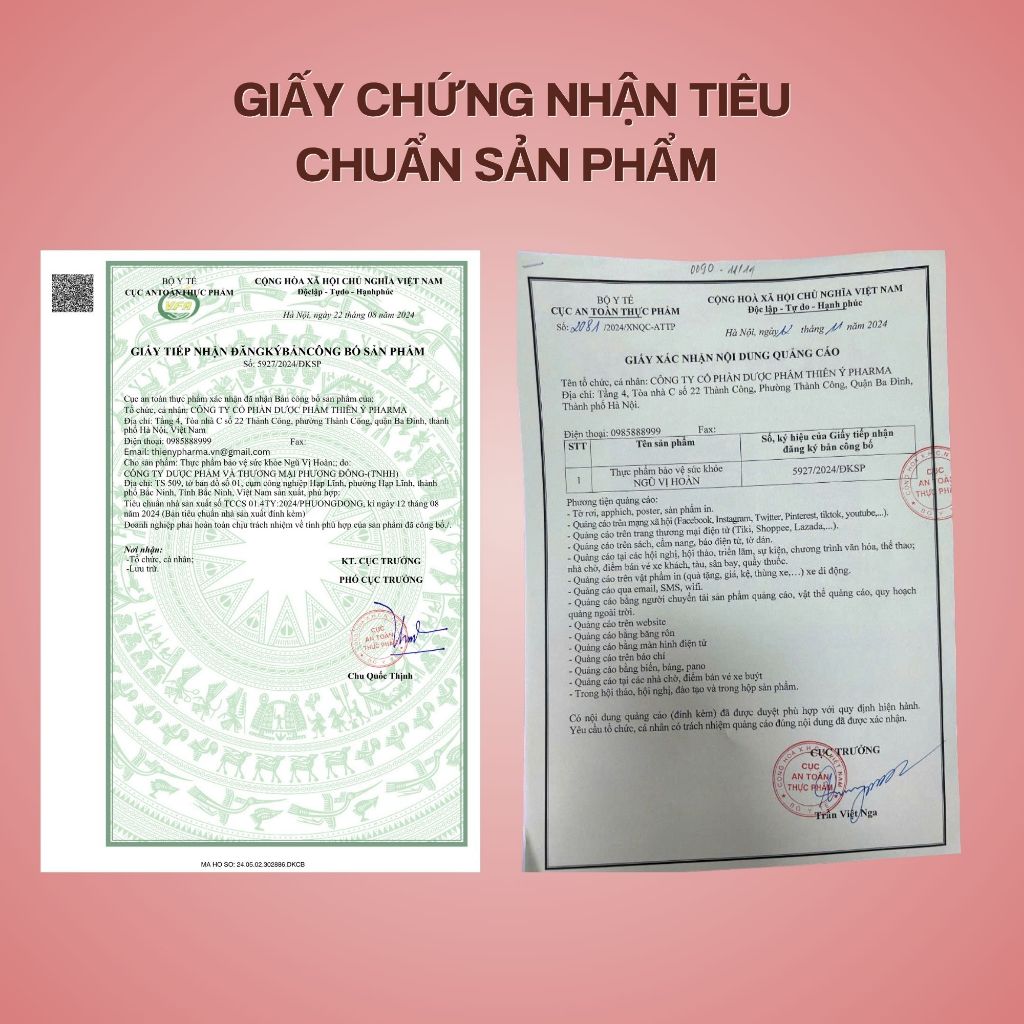 Ngũ Vị Hoàn - Hỗ Trợ Mát Gan Thanh Nhiệt, Tăng Năng Lượng, Giảm Mệt Mỏi - Thiên Ý Pharma