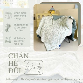 Chăn hè chần bông Cotton Đũi Windy M2T BEDDING kích thước 2mx2m3 dùng 4 mùa quanh năm