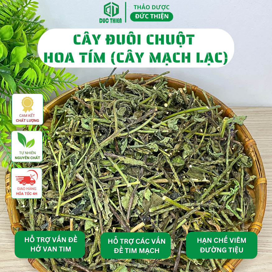 500g, 1kg Cây Đuôi Chuột Hoa Tím (Mạch Lạc) Loại 1 Đức Thiện - Hỗ Trợ Vấn Đề Hở Van Tim, Lợi Tiểu