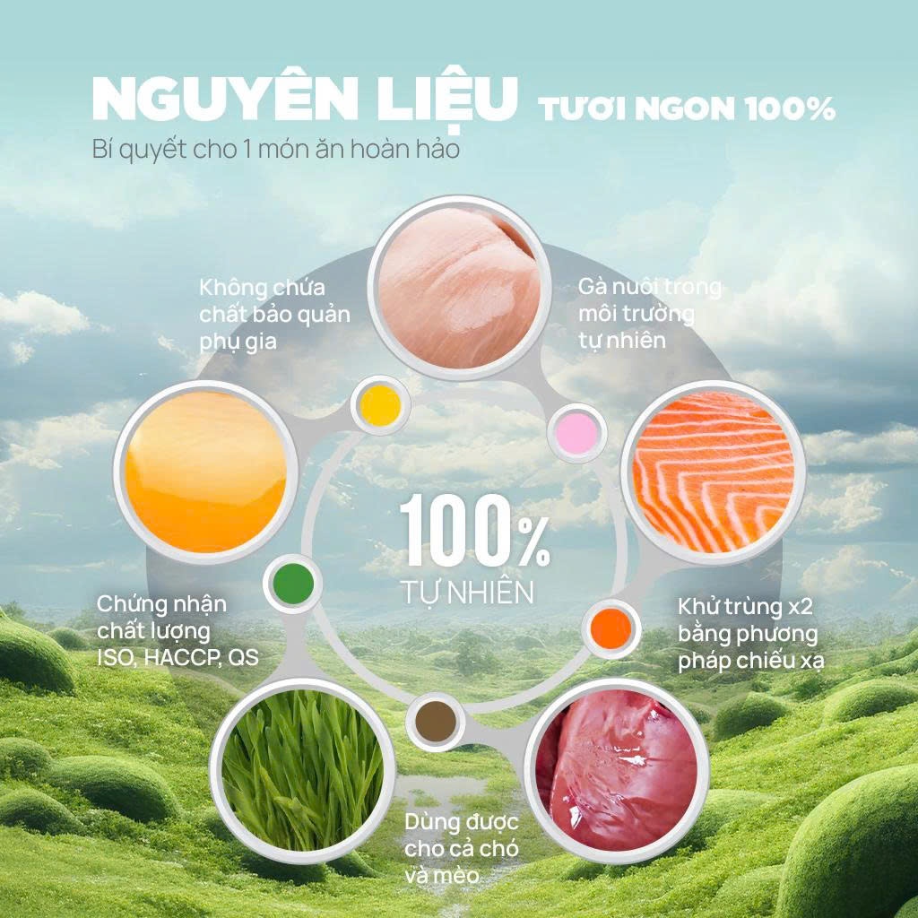 Thức ăn đông khô PET cho chó mèo, Viên gà sấy thăng hoa, Snack Ức gà Cỏ mèo Lòng đỏ trứng Gan gà