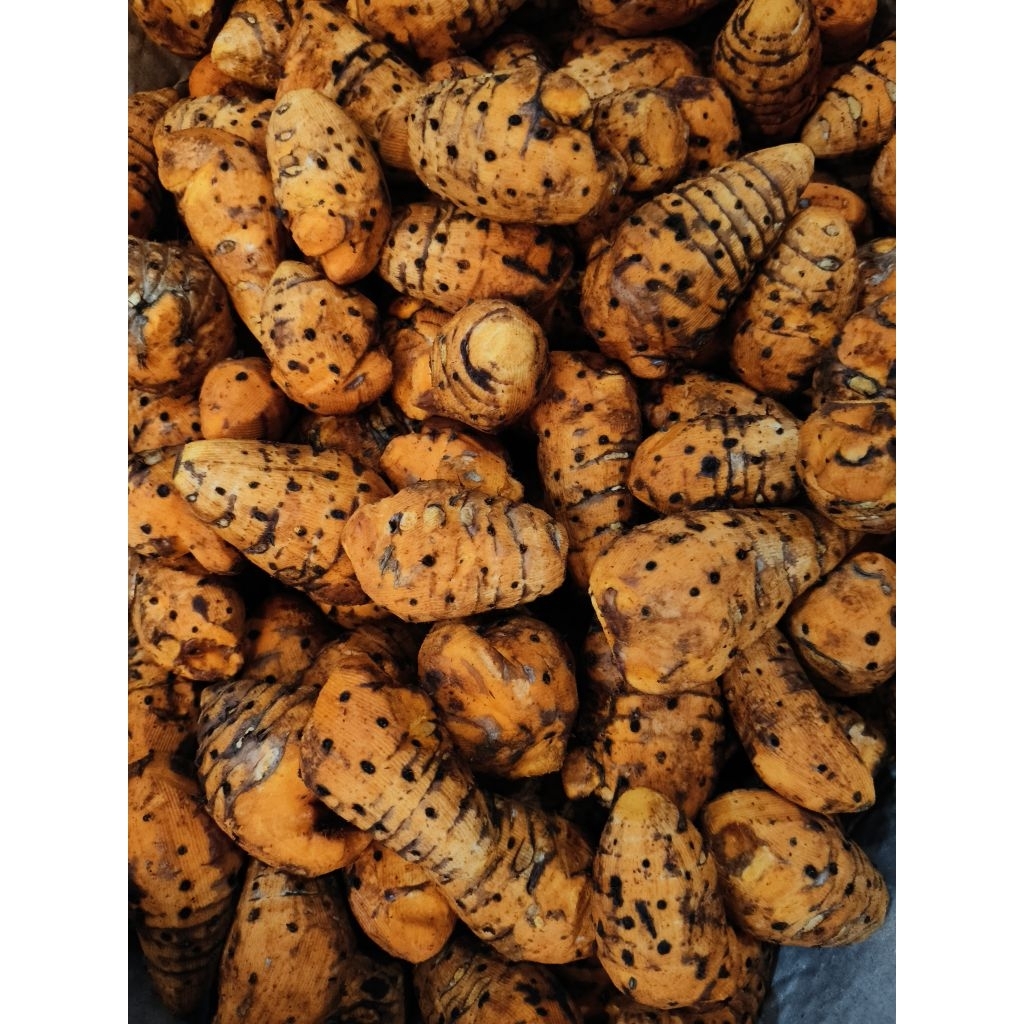 500g Tinh bột nghệ đỏ Nam Đàn -Ds Thảo