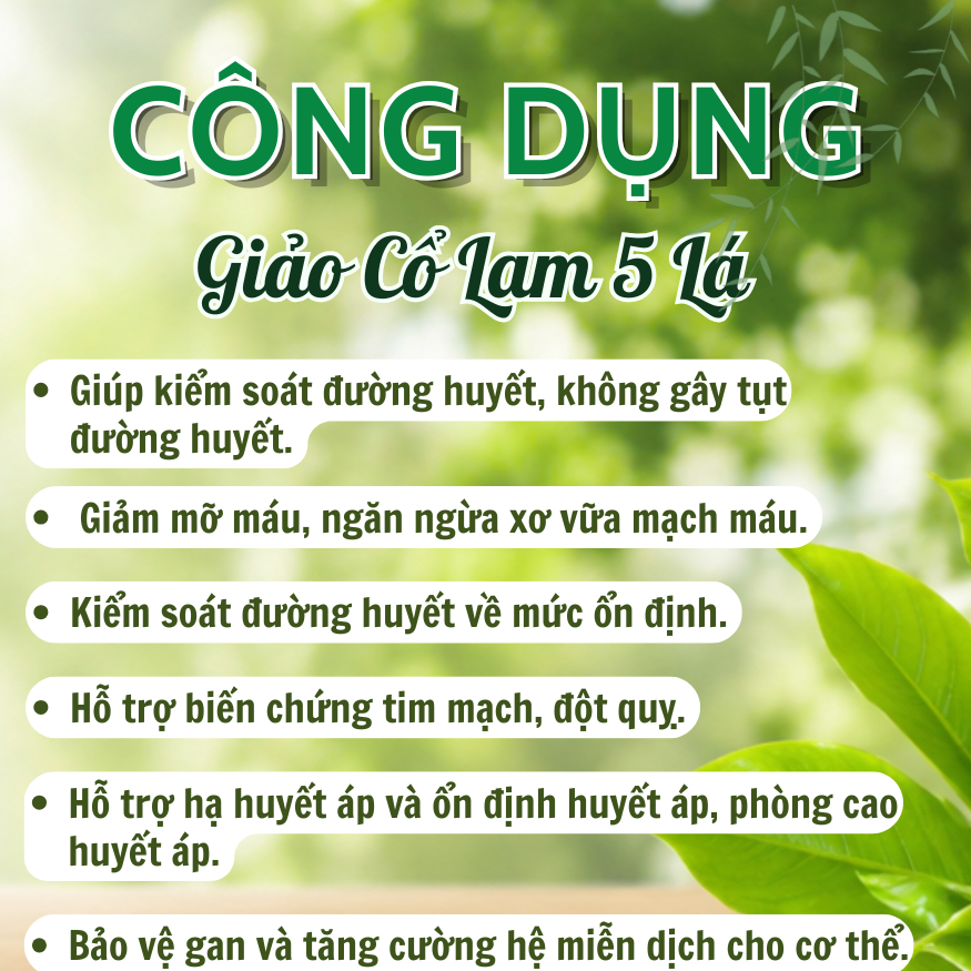 250g, 500g Giảo Cổ Lam 5 lá Loại 1 Đức Thiện (Khô, Sạch, Thơm) - Hỗ Trợ Tiểu Đường, Huyết Áp