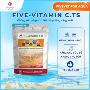 Bổ Sung Vitamin C Vi Bọc Cho Tôm Cá Chống Sốc Tăng Đề Kháng FIVEVET - FIVE-VITAMIN C.TS