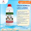 Thảo Dược Hỗ Trợ Gan Tụy Tôm Cá Giải Độc Gan Tăng Sức Đề Kháng FIVEVET – Five-Diệp Hạ Châu