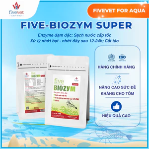 Men Vi Sinh Xử Lý Nước Ao Tôm Giảm Nhớt Đáy Cắt Tảo FIVEVET – Five-Biozym Super