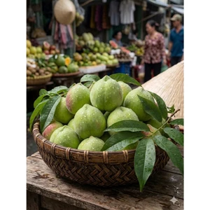 ĐÀO mỏ quạ sơn la