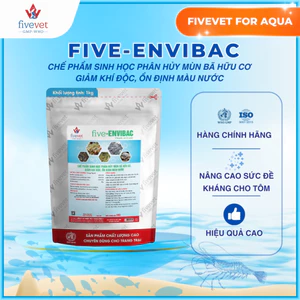 Men Vi Sinh Xử Lý Ao Tôm Cá Giảm Khí Độc Ổn Định Màu Nước FIVEVET – Five-Envibac