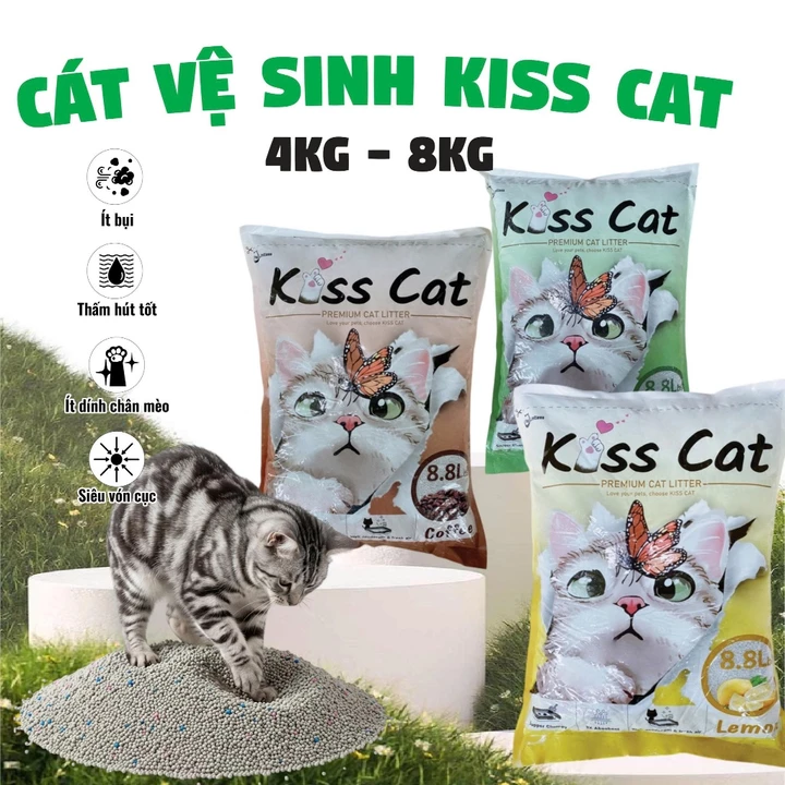 Cat Litter