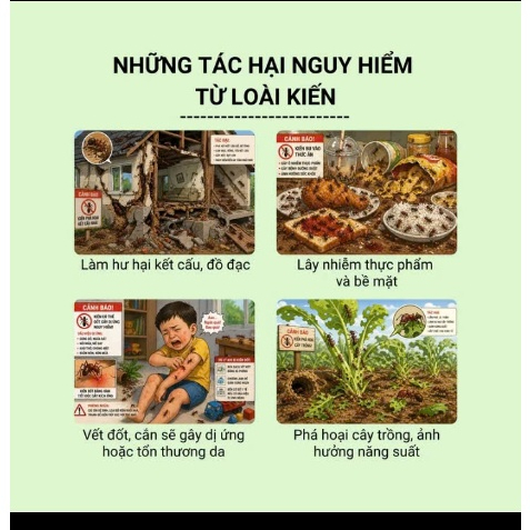 Thuốc Diệt Kiến Gián Sinh Học, Diệt Tận Gốc Hiệu Quả An Toàn Thân Thiện Với Môi Trường