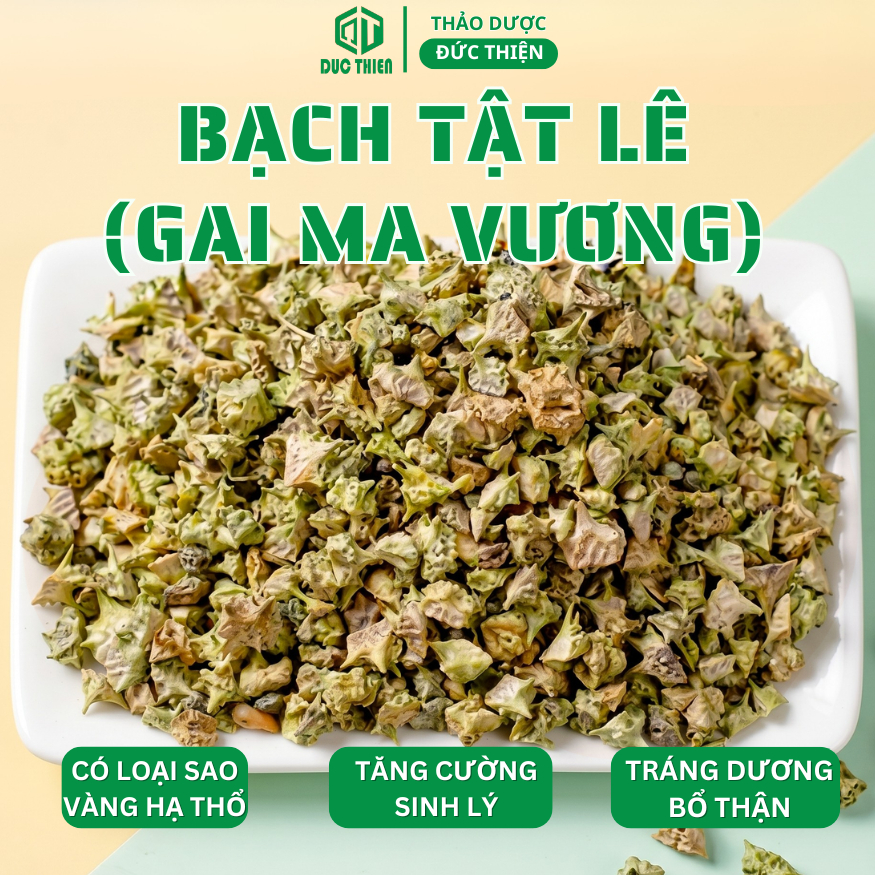 Trà Bạch Tật Lê Có Sao Vàng (Gai Ma Vương) Đức Thiện (Khô, Sạch, Thơm) - Hỗ Trợ Bổ Thận, Tráng Dương
