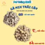 Vị Trái cây mix Táo-Việt Quất thơm ngon ding dưỡng dành cho chó mèo