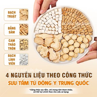 Tứ quân tử thang, combo 4 vị thảo mộc gồm: Bạch linh, đẳng sâm, cam thảo, bạch truật - Lãn ông