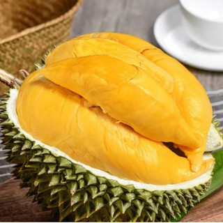 Cây Giống Sầu Riêng Musang King Kimbiofarm Cao 70cm–1m – Chuẩn Giống Malaysia, Phát Triển Tốt