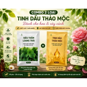 combo dầu khoáng + tinh dầu thảo mộc