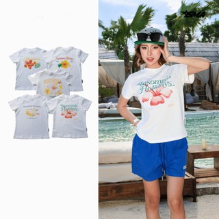 [BST HÈ 2026] Áo Thun Baby Tee Summer Collection chất thun 250gsm