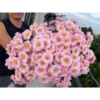 [Set 30/50 Đầu Bông] Hoa Cúc Fran Bằng Lụa Nhiều Màu - Phụ Kiện Làm Đồ Handmade DIY, Mũ Tốt Nghiệp
