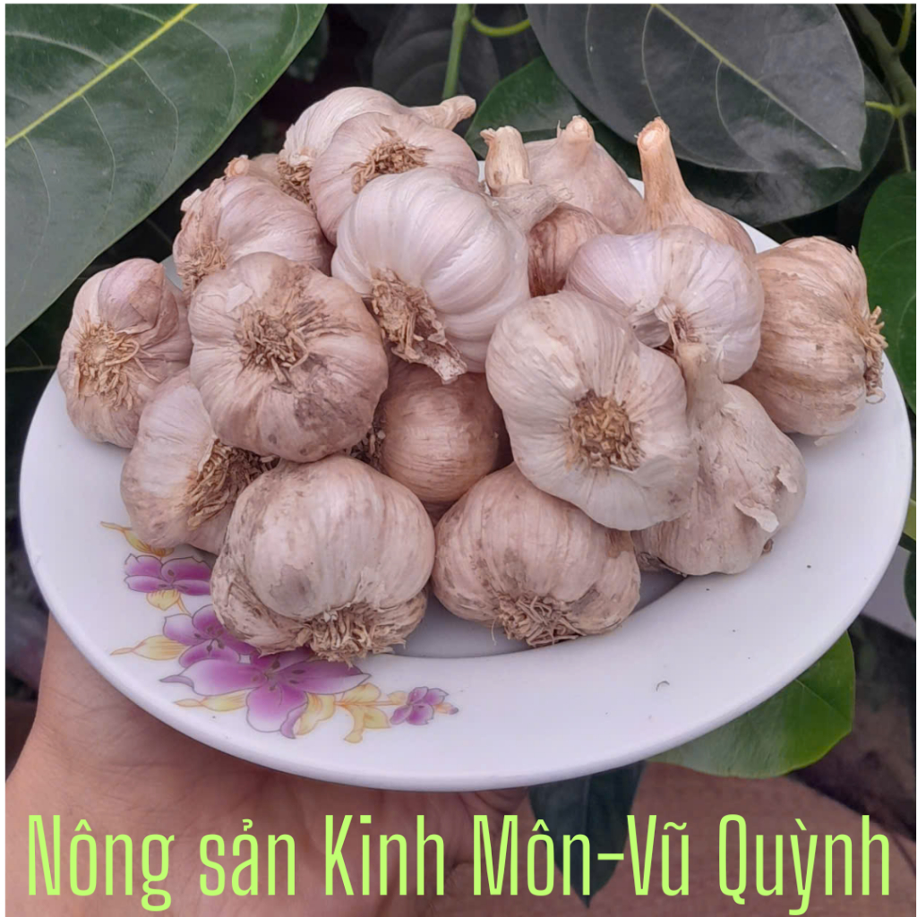 Tỏi bắc, tỏi khô, tỏi sạch nguyên chất, tỏi quê không chất bảo quản đã chọn lọc