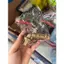 Vòi đồng, vòi nước đồng thau ren 21 ren 27 đầu gờ nối máy giặt ống tưới sân vườn