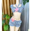 Set Bikini 2 Món Áo Croptop Buộc Dây Và Quần Bí Nhiều Màu Thun Co Giãn Năng Động Mùa Hè Bunny In House B01 BIKINI