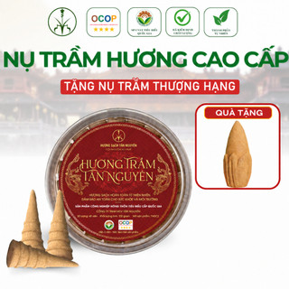 [OCOP 4 SAO - TẶNG 5 NỤ CAO CẤP] Hộp nụ trầm hương Tân Nguyên 100 viên, thanh lọc không khí, thơm dịu, xông nhà, khử ẩm