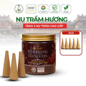 Hộp nụ trầm hương Tân Nguyên 100 viên, thanh lọc không khí, thơm dịu, xông nhà, khử ẩm