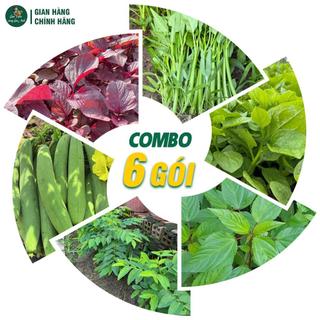 [COMBO 6 GÓI] Hạt Giống Trồng Mùa Hè: Rau Muống, Mồng Tơi, Dền Đỏ, Rau Đay, Rau Ngót, Mướp Hương
