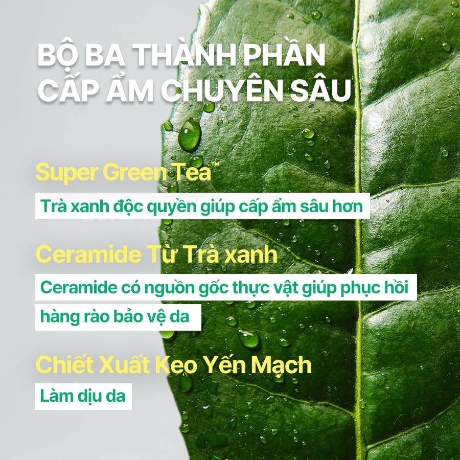 INNISFREE x Kem dưỡng cấp ẩm, phục hồi INNISFREE Green Tea Ceramide Cream 50ML