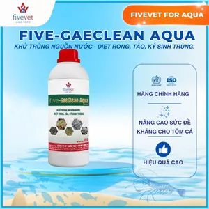 Dung Dịch Xử Lý Rong Tảo Ký Sinh Trùng Ao Tôm Cá FIVEVET – Five-GaeClean Aqua