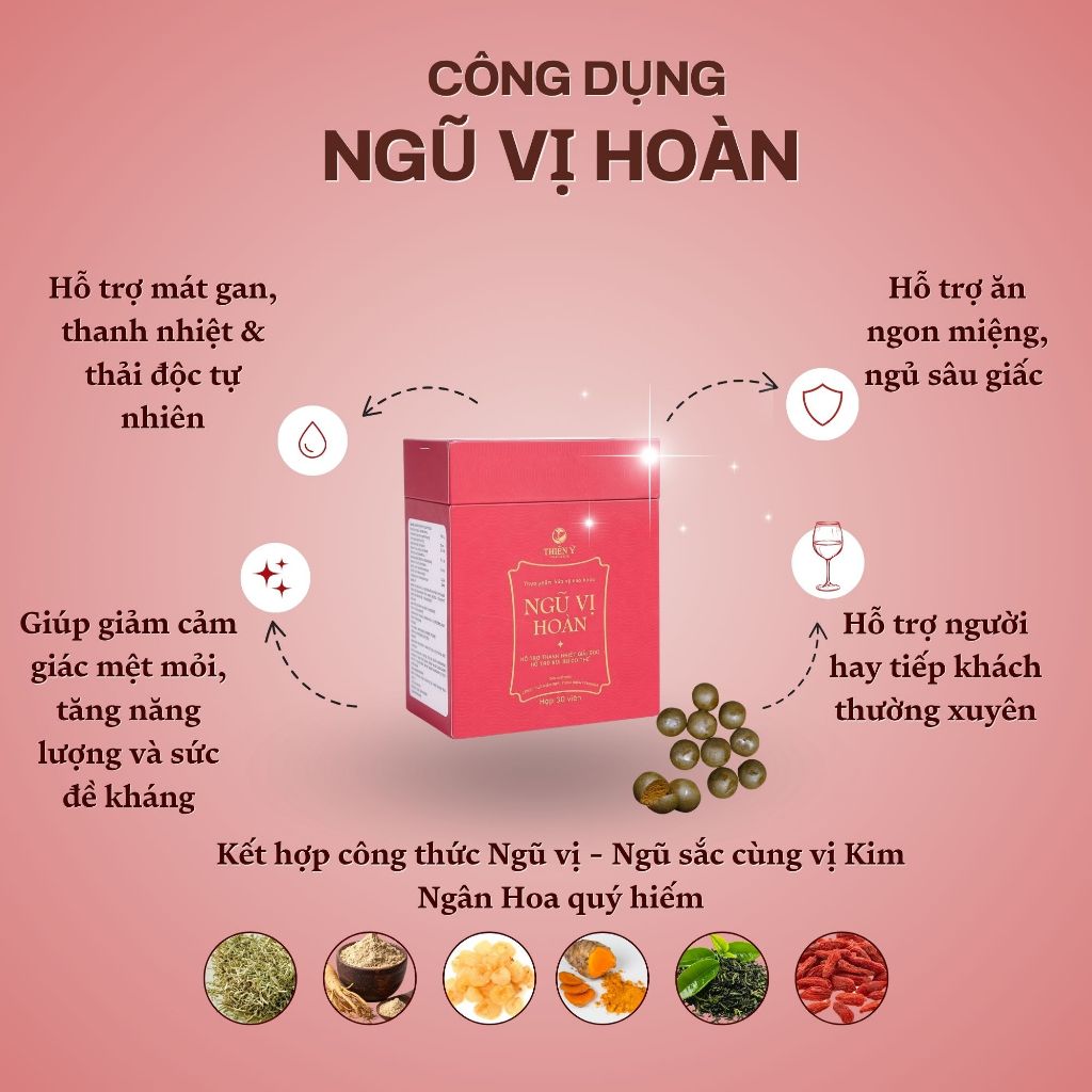 Ngũ Vị Hoàn - Hỗ Trợ Mát Gan Thanh Nhiệt, Tăng Năng Lượng, Giảm Mệt Mỏi - Thiên Ý Pharma