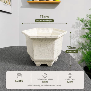 Combo 10 Cái Chậu Nhựa LG160 [17x12]