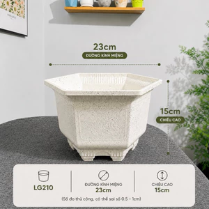 Combo 10 Cái Chậu Nhựa LG210 [23x15]