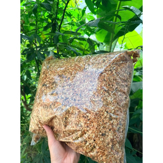 Hoa Nhài Khô 1kg Nguyên Chất | Hoa Thảo Mộc Chọn Lọc | Thảo Dược Đạt Huyền