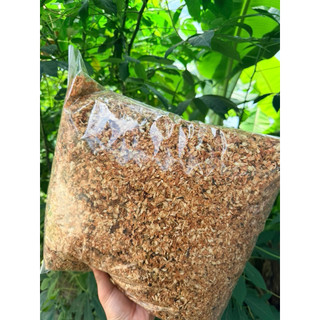 Hoa Nhài Khô 1kg Nguyên Chất | Hoa Thảo Mộc Chọn Lọc | Thảo Dược Đạt Huyền