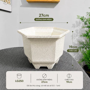 Combo 5 Cái Chậu Nhựa LG250 [27x19]
