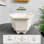 Combo 5 Cái Chậu Nhựa LG250 [27x19]