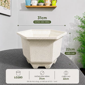 Combo 5 Cái Chậu Nhựa LG280 [31x22]