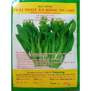 Hạt Giống Cải Ngọt Ăn Bông ( Cải Ngồng) gói 20gr, Rau Ăn Lá Trang Nông Nổi Tiếng TN 1103, Hạt Nảy Mầm Nhanh, Mạnh
