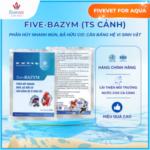 Men Vi Sinh Xử Lý Nước Bể Cá Cảnh Làm Trong Nước FIVEVET – Five-Bazym (TS Cảnh)