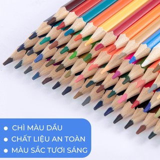 [NEW] Bút Chì Màu Gốc Dầu VanGogh 60 Màu Classmate, Chì Màu Tô Bóng Mịn, Che Phủ Cao, Chồng Được Màu, Hoà Sắc Tốt