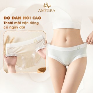 Combo 5 Quần Lót Cotton Viền Lụa Siêu Mát - Set 5 Quần Chip Nữ Tính In Chú Gấu Dễ Thương AMYBRA LY03